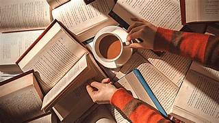 educarlicenciadoenprimaria.milaulas.com